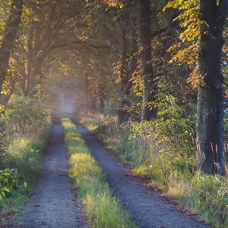 Apartmán Gemuetliche In Am *