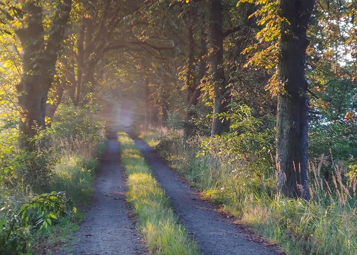 アパート Gemuetliche In Am *